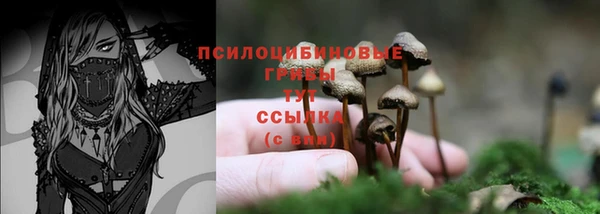 spice Беломорск