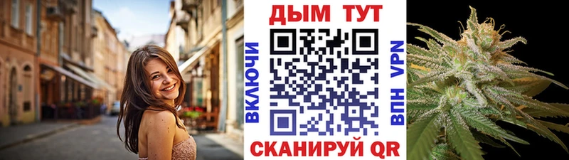мега как зайти Завитинск Бошки Шишки Amnesia где купить наркоту